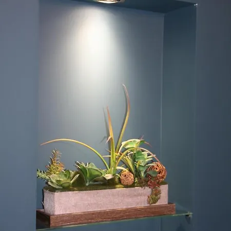 Maison d'hôtes L'atelier - Gîte&spa